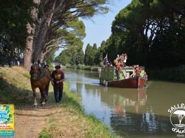 97c52506f6387b143f0f7f44a59c0657